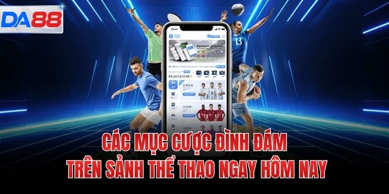 Các mục cược đình đám trên sảnh thể thao ngay hôm nay