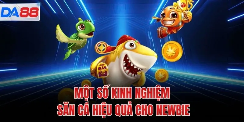 Một số kinh nghiệm săn cá hiệu quả cho newbie