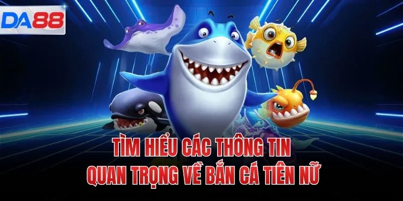 Tìm hiểu các thông tin quan trọng về bắn cá tiên nữ